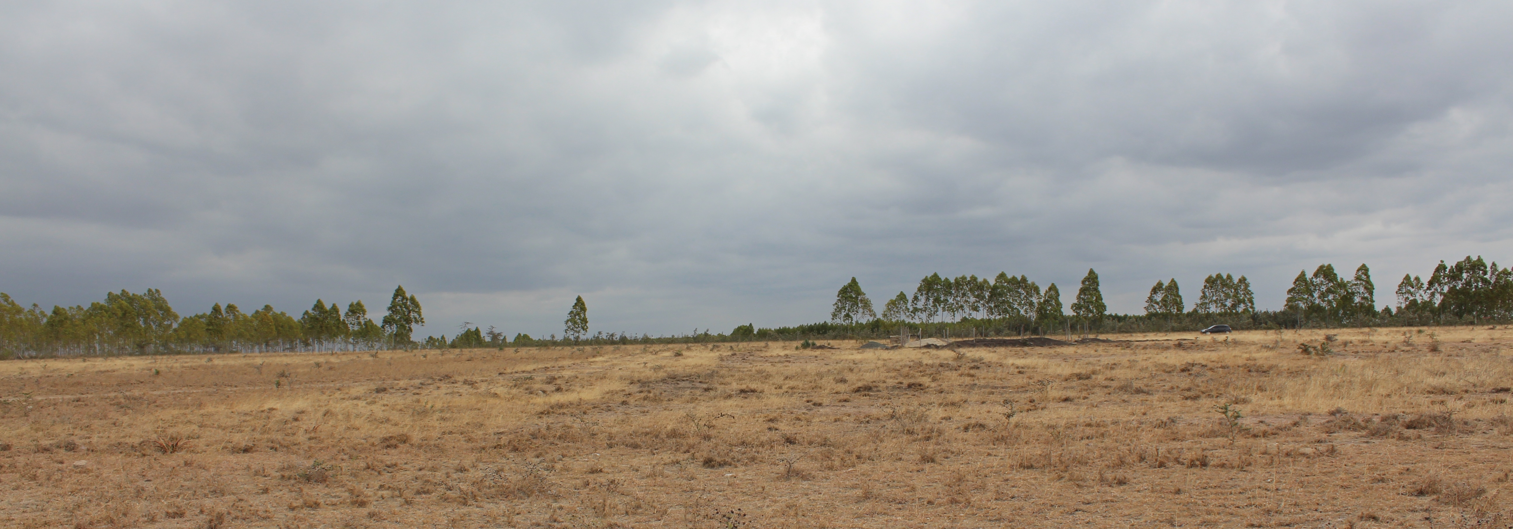 Afrigale Kamulu Plains 3 Eighths